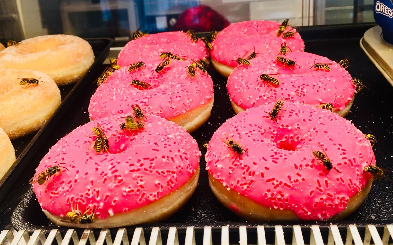 Wespen beim Bäcker.