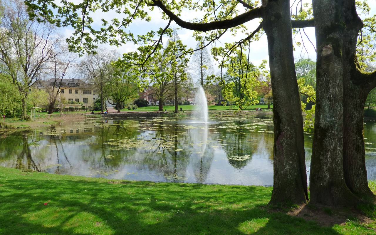 Der Stadtgarten im Essener Südviertel mit einem großen Teich und Fontäne.