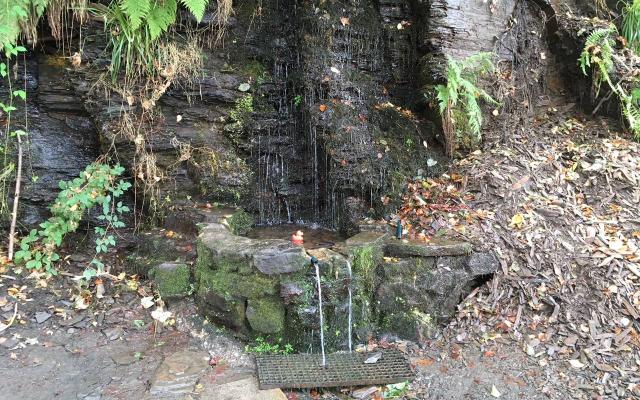 Die kleine rote Radio Essen-Badeente Erna schwimmt in einem runden Felsvorsprung in den Wasser aus der Felsenquelle in Kettwig fließt.