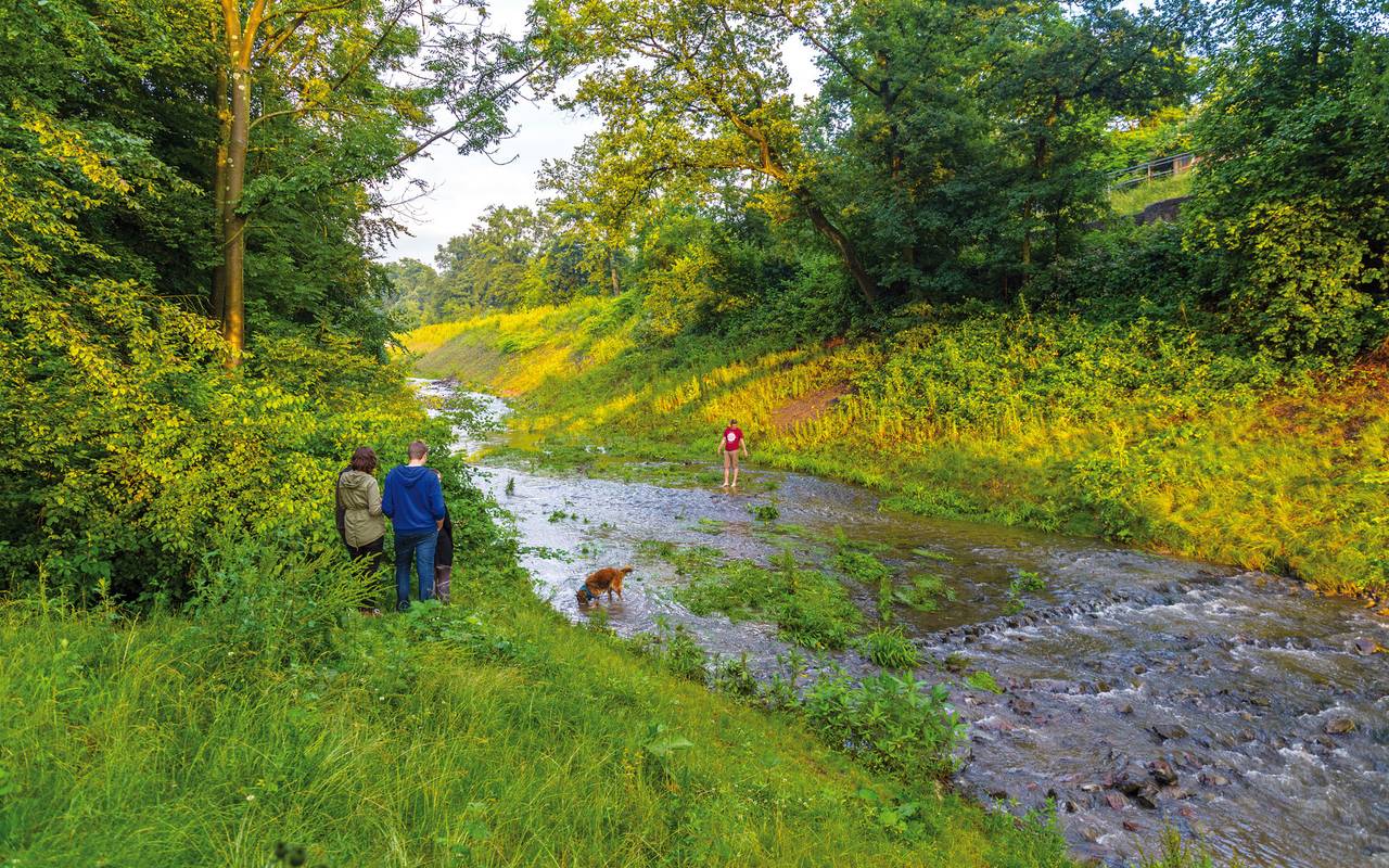 Der kleine Borbecker Mühlenbach mit viel Wiese drumherum und ein paar Menschen, die mit ihrem Hund spazieren gehen.