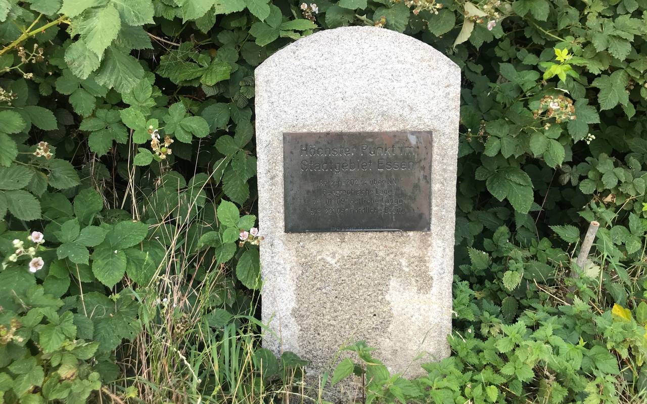 Ein auf Stein festgemachtes silbernes Schild zeigt den höchsten Punkt der Stadt Essen an.