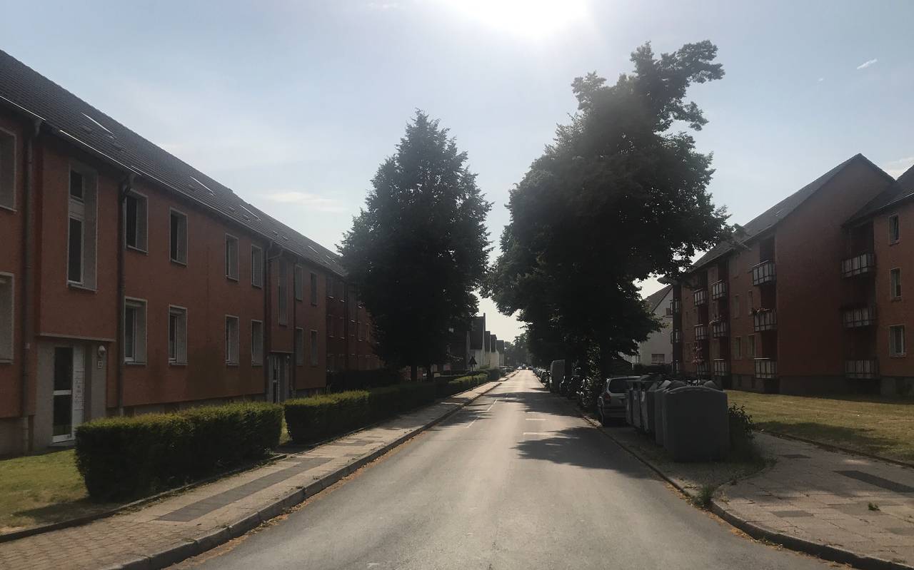 Eine Straße im Sonnenschein in Essen Vogelheim