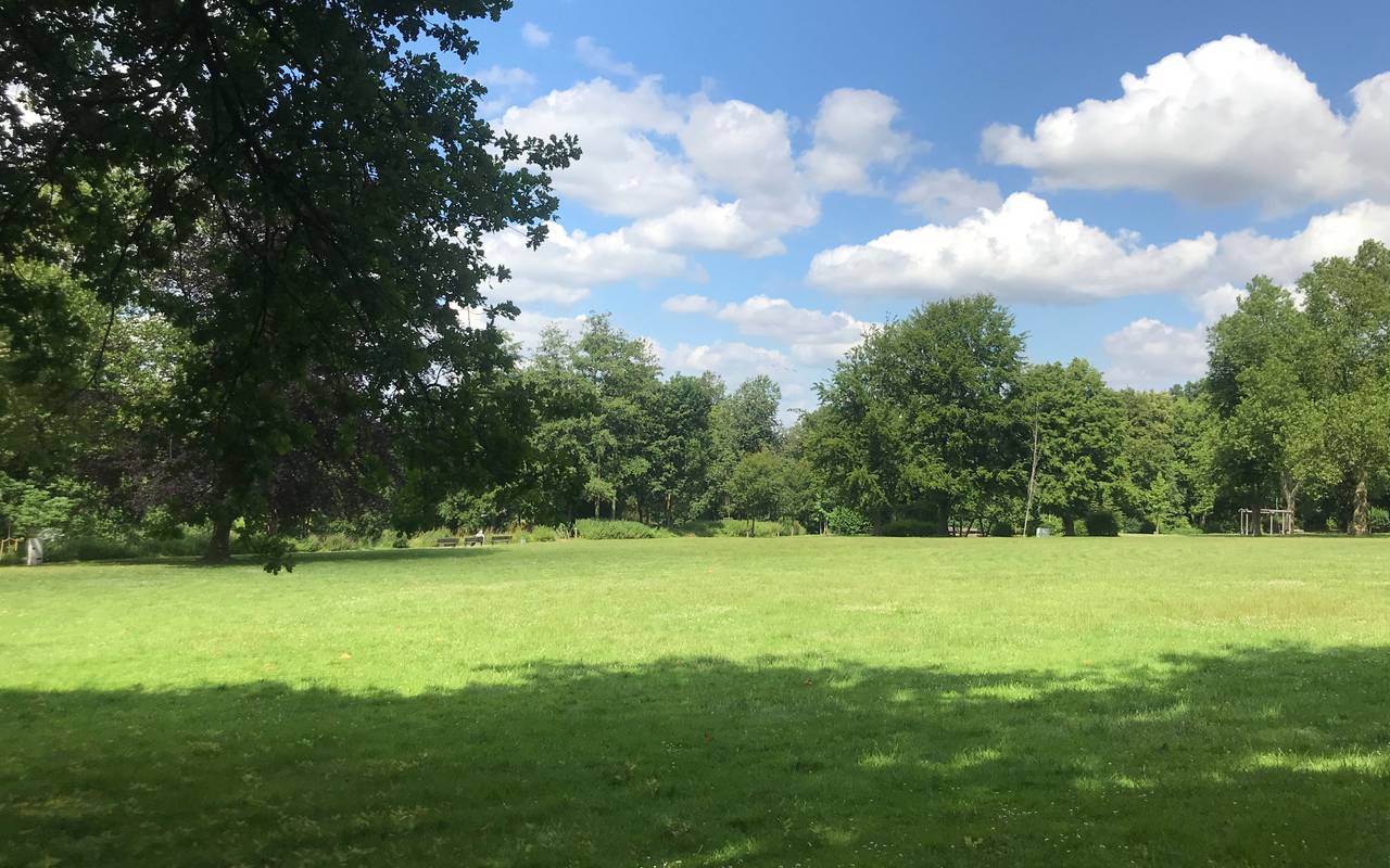 Grüne Bäume und Wiesen im Volksgarten Kray in Essen.