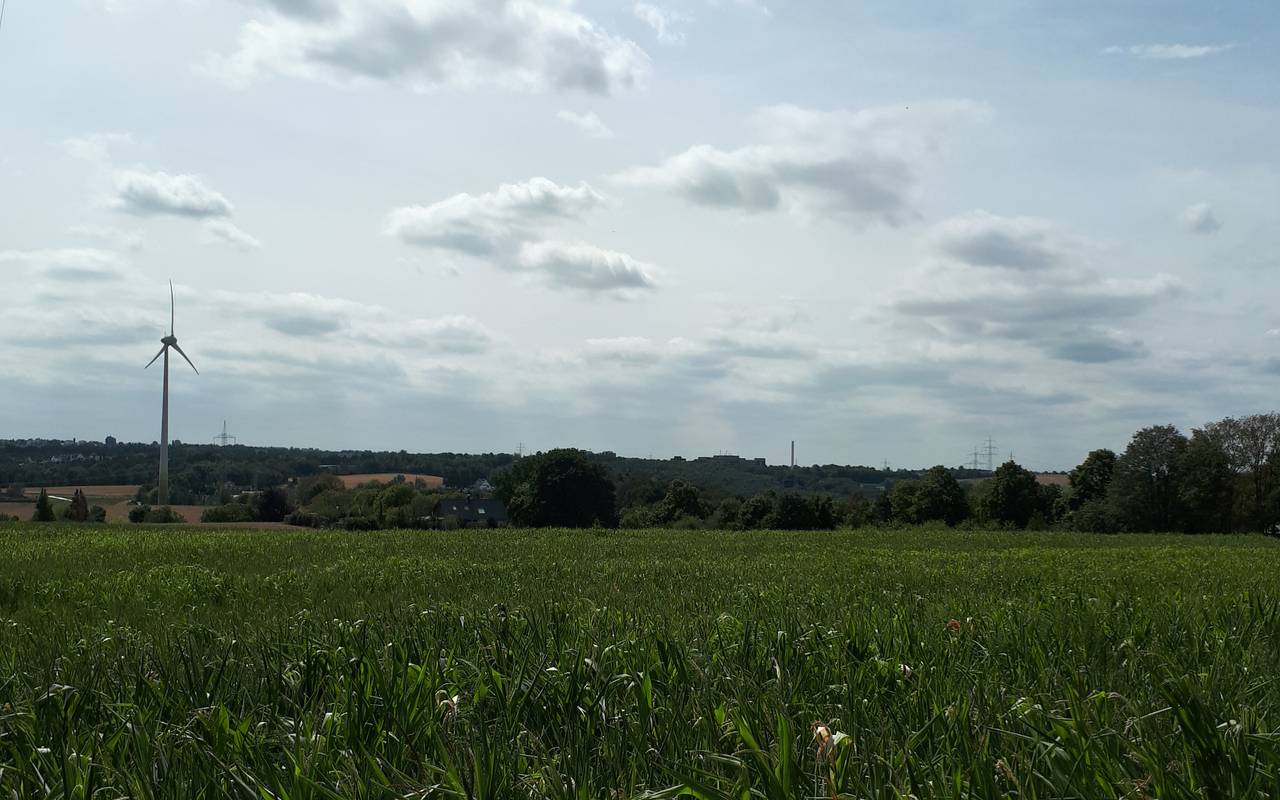 Ausblick am höchsten Punkt in Essen