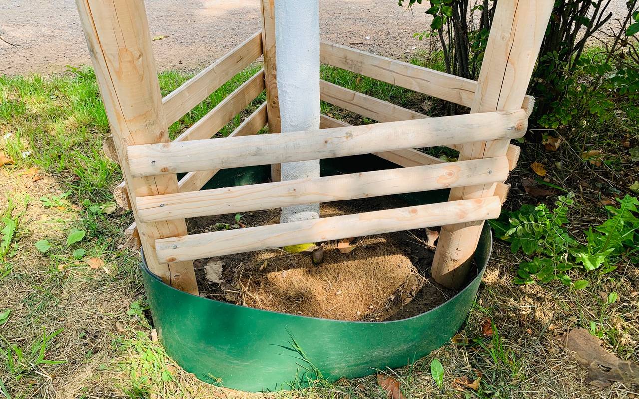 Jungbaum in Essen soll das Wasser in einem Auffangbecken ideal speichern