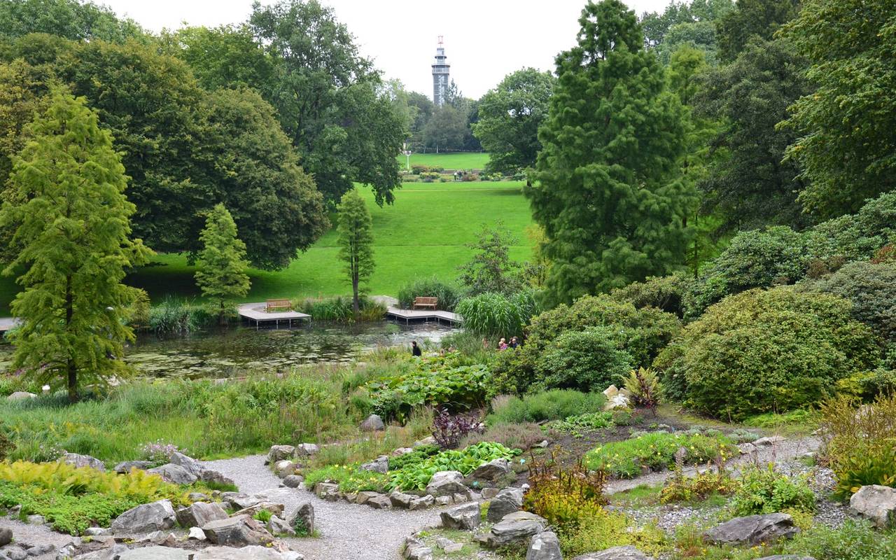 Dahlienwiese Grugapark