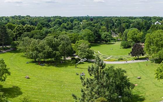 Dahlienwiese Grugapark
