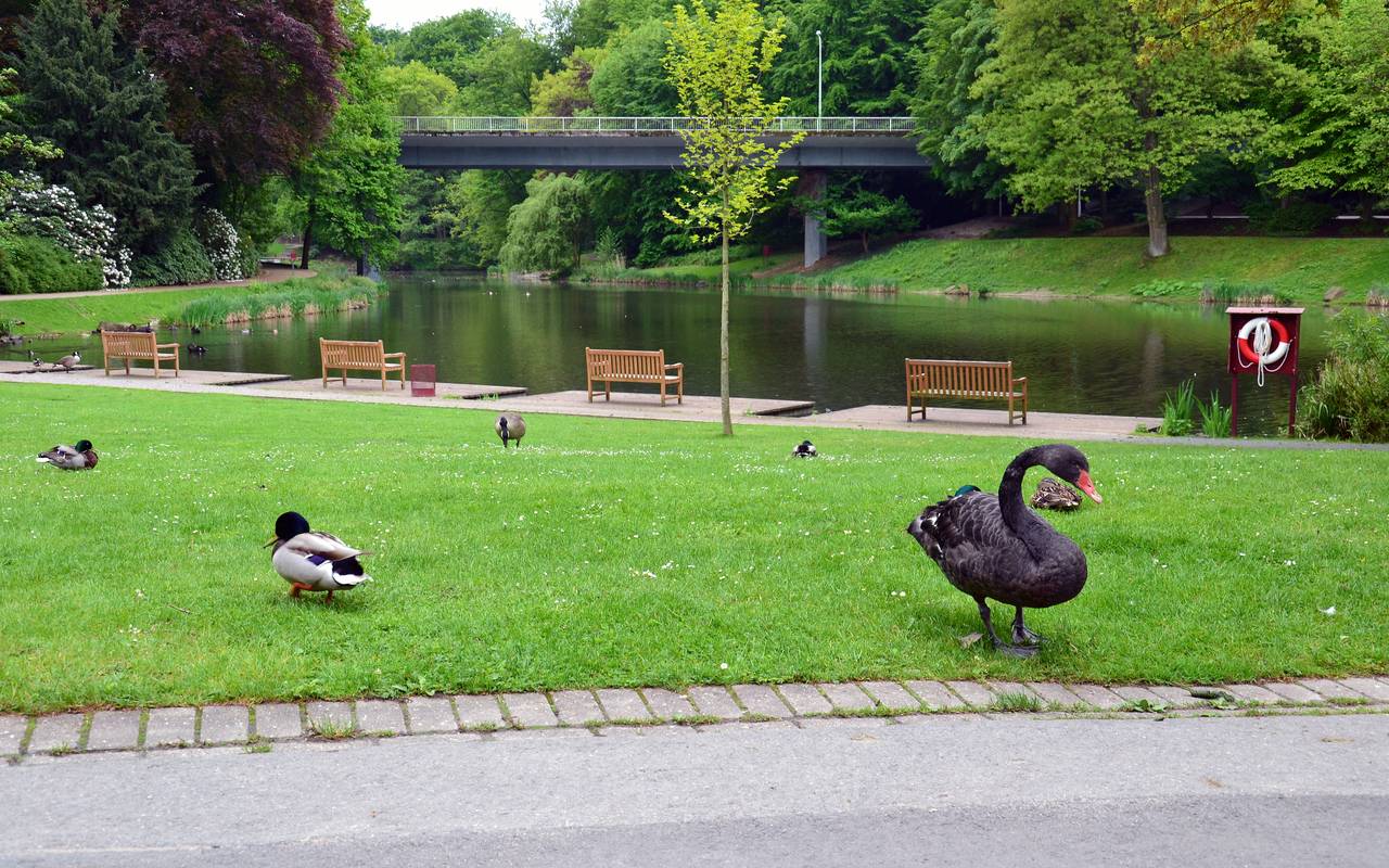 Grugapark Margarethensee