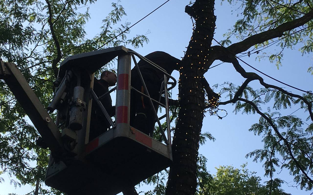 Montage Lichterketten in Essen
