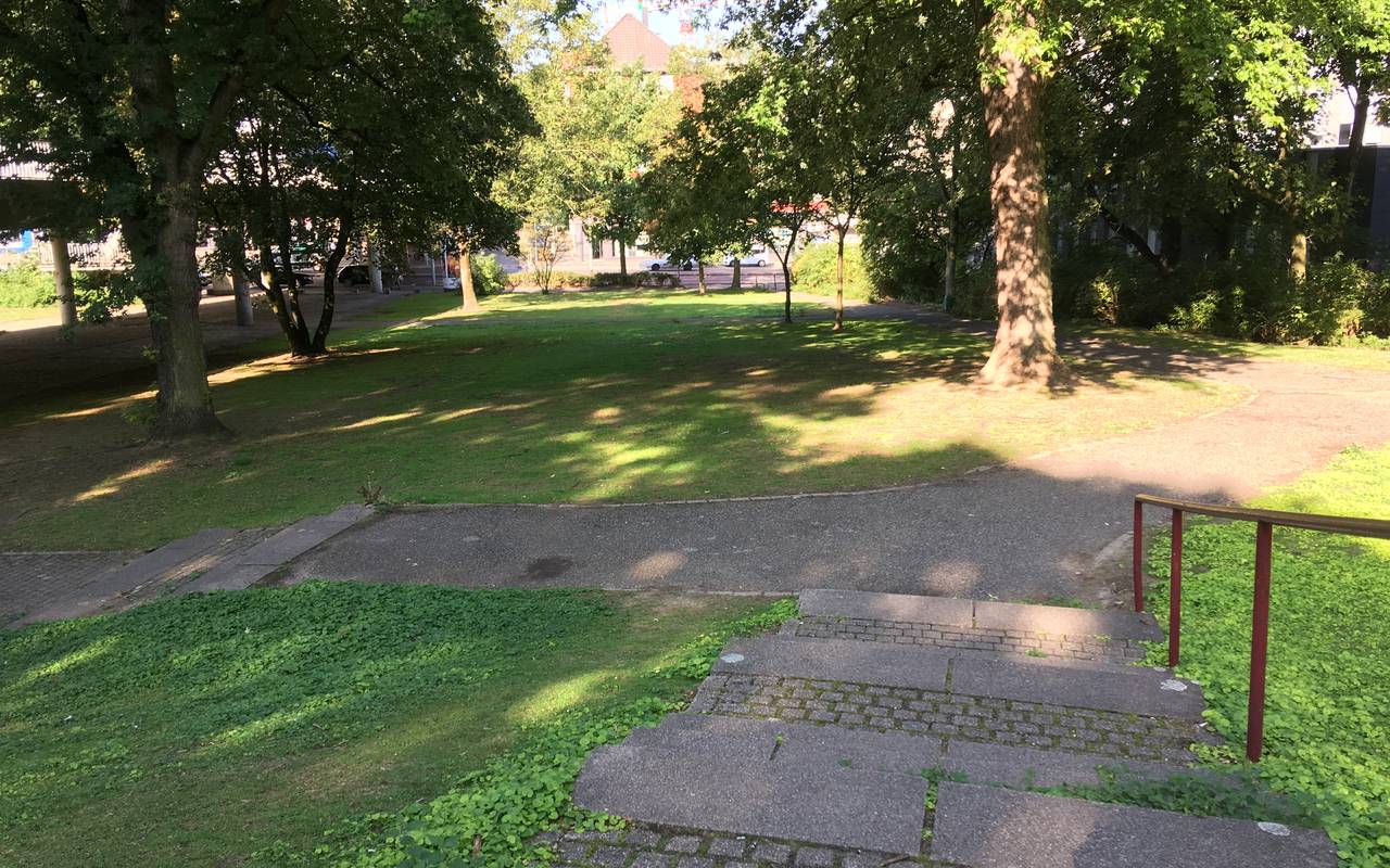 Zu sehen ist der Waldthausenpark am Rande der Innenstadt. Er wird unter anderem nach Anwohner-Wünschen umgestaltet.