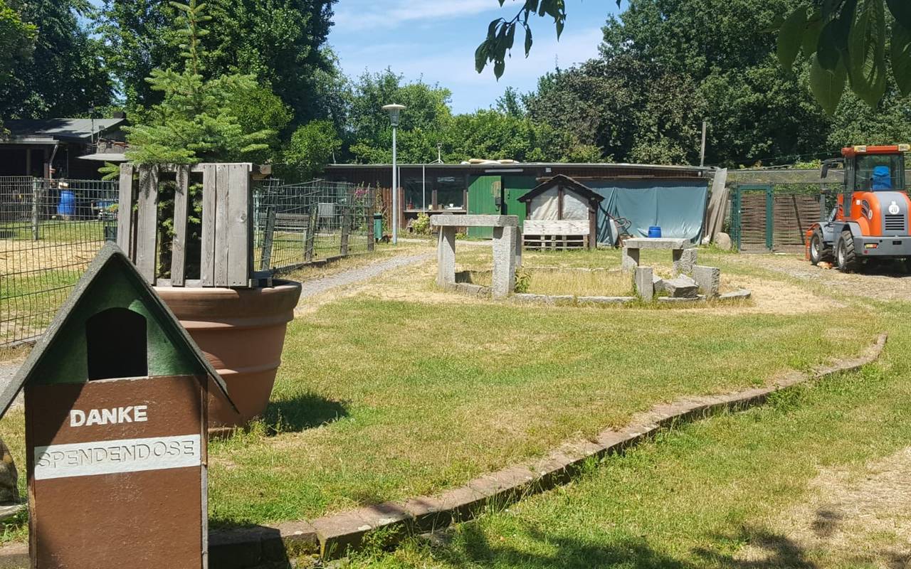 Das Wildgehege in Essen-Schonnebeck