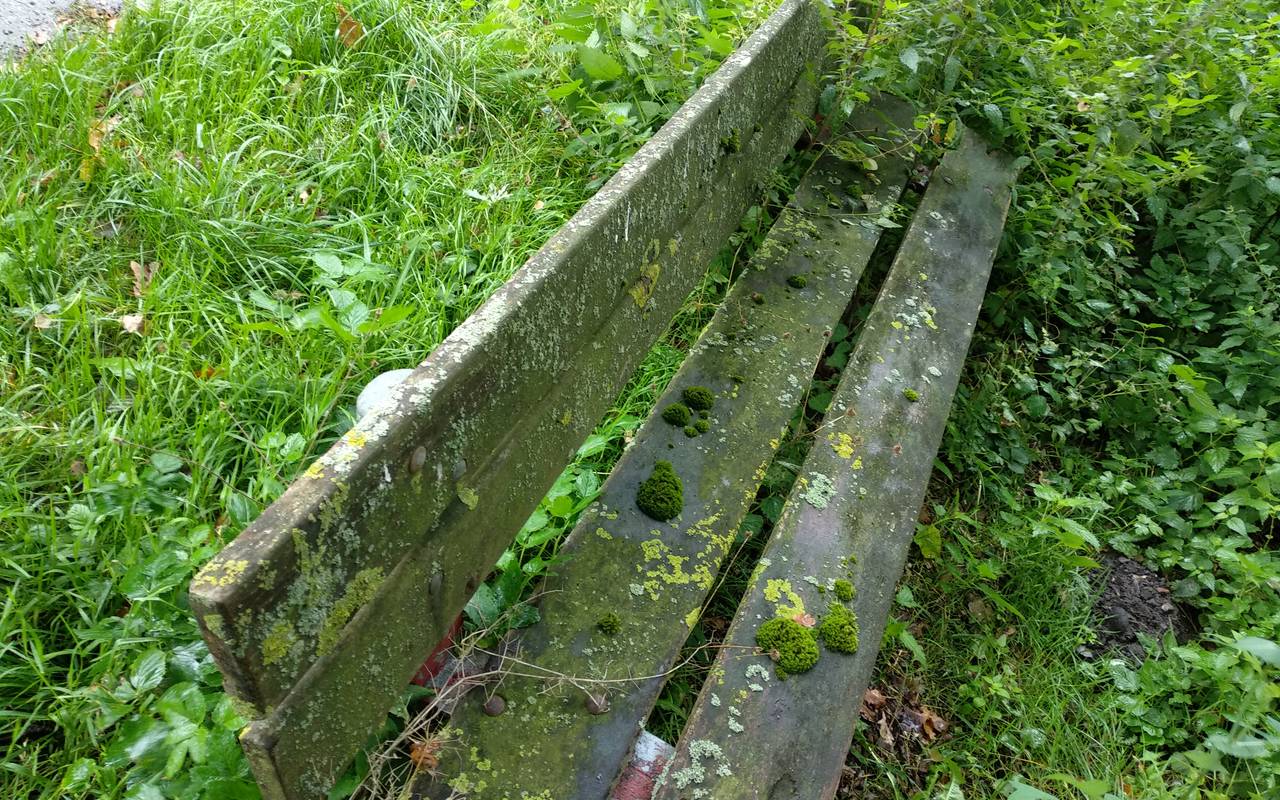 Bank, die mit Gestrüpp verwachsen ist