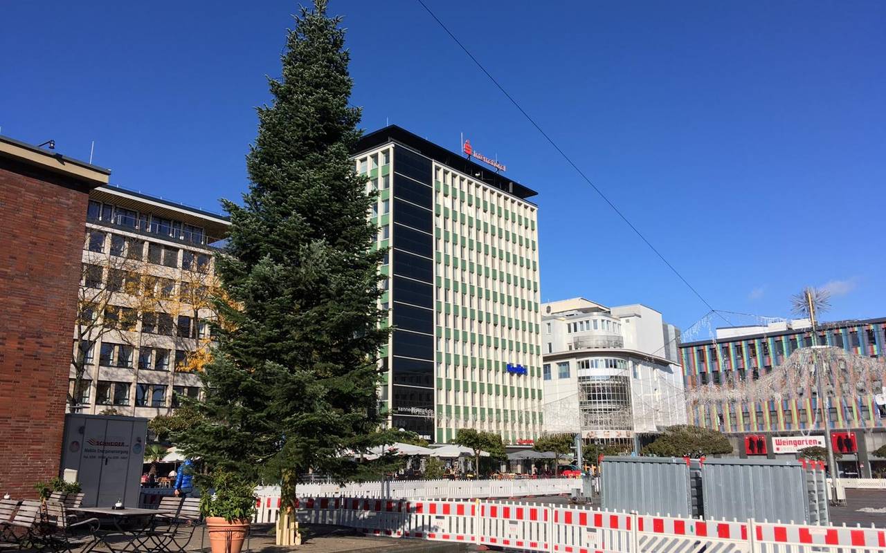 weihnachtstanne_kennedyplatz_2019_innenstadt