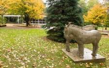 Zwei Pferde Skulptur im Grugapark Essen