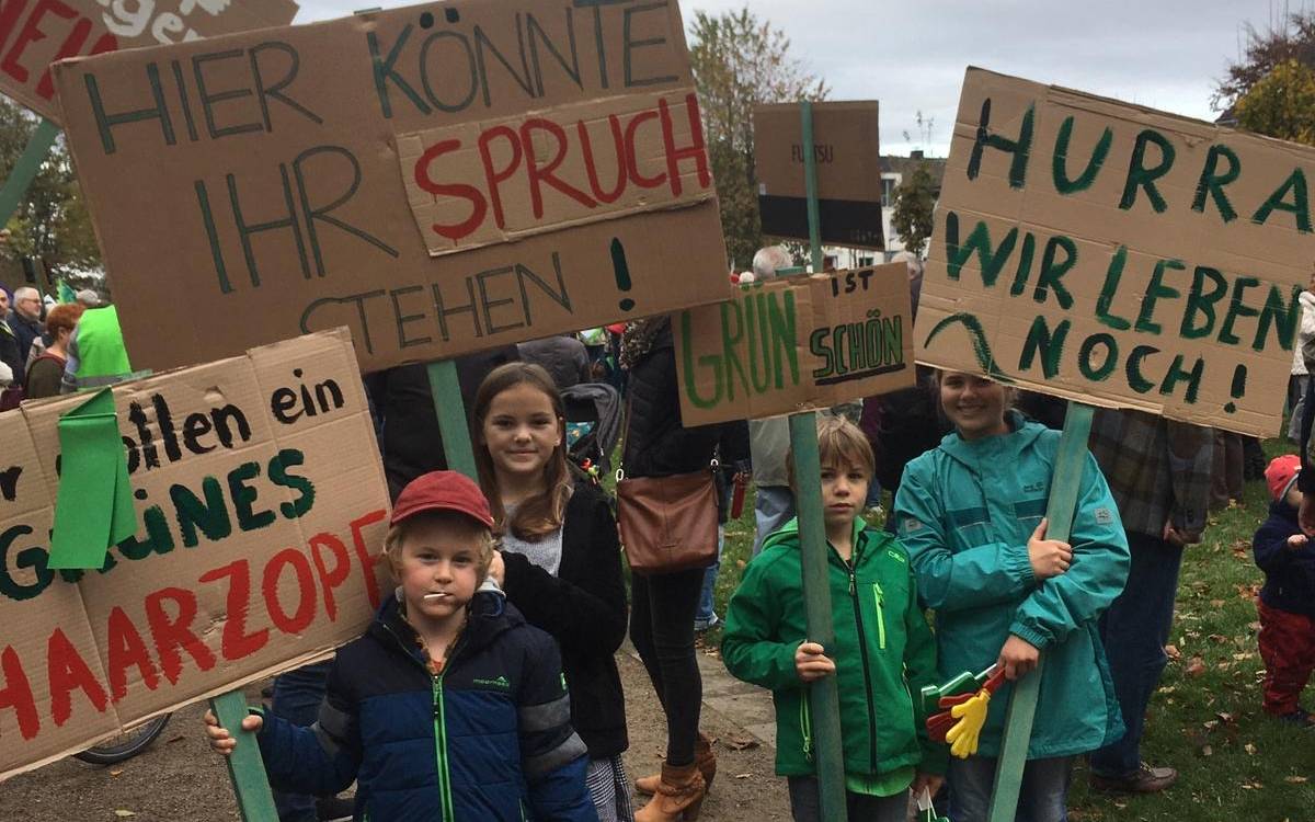 Demo Haarzopf