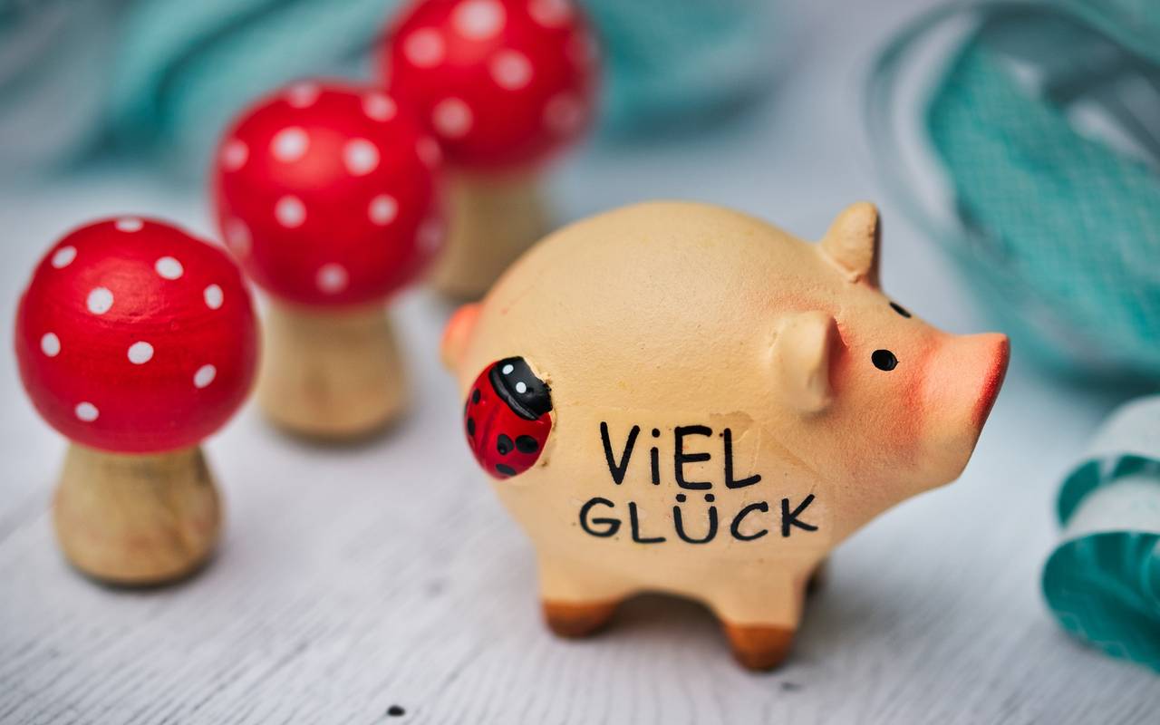 Ein kleines Schwein wünscht viel Glück bei Radio Essen.
