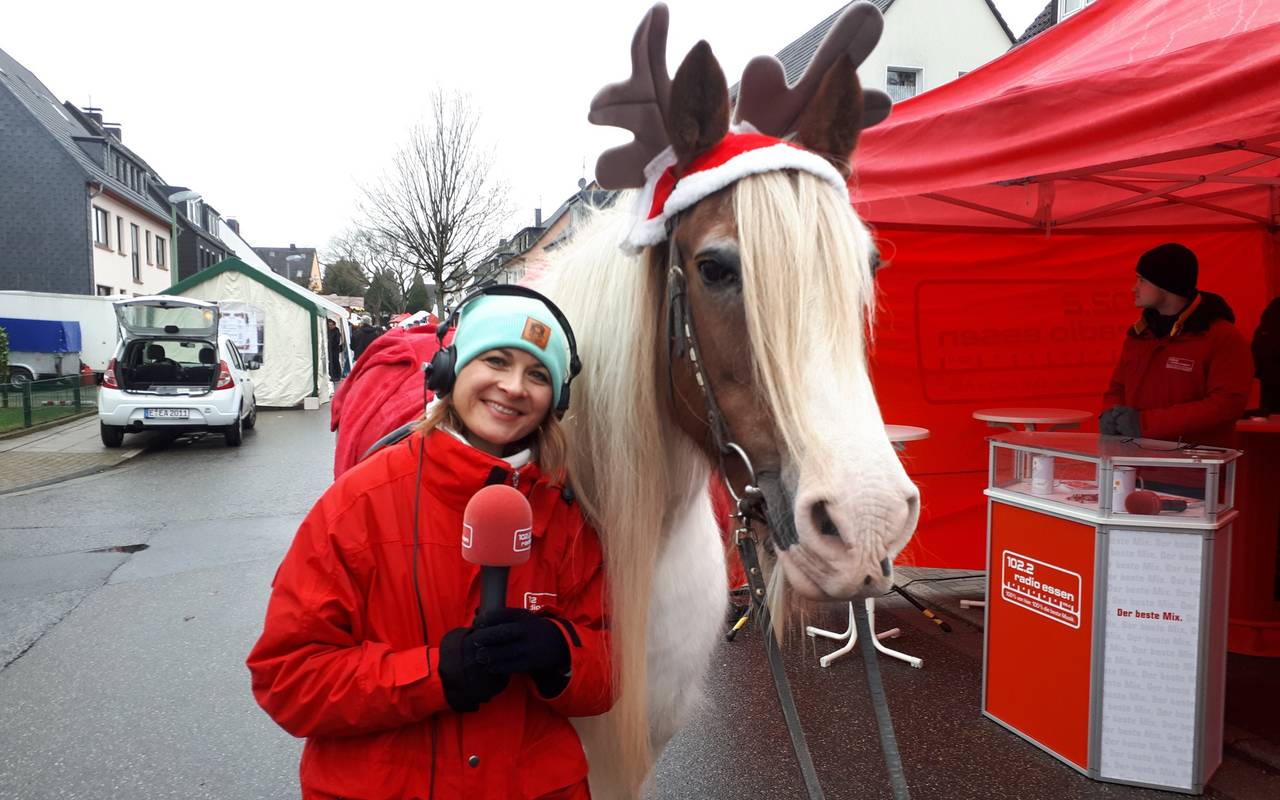 Lichtblicke-Tour Haarzopf