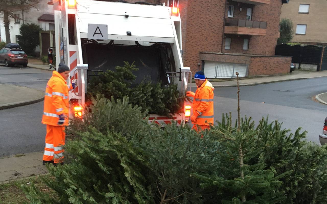 EBE entsorgungsbetriebe Radio Essen Weihnachtsbaum-Abholung