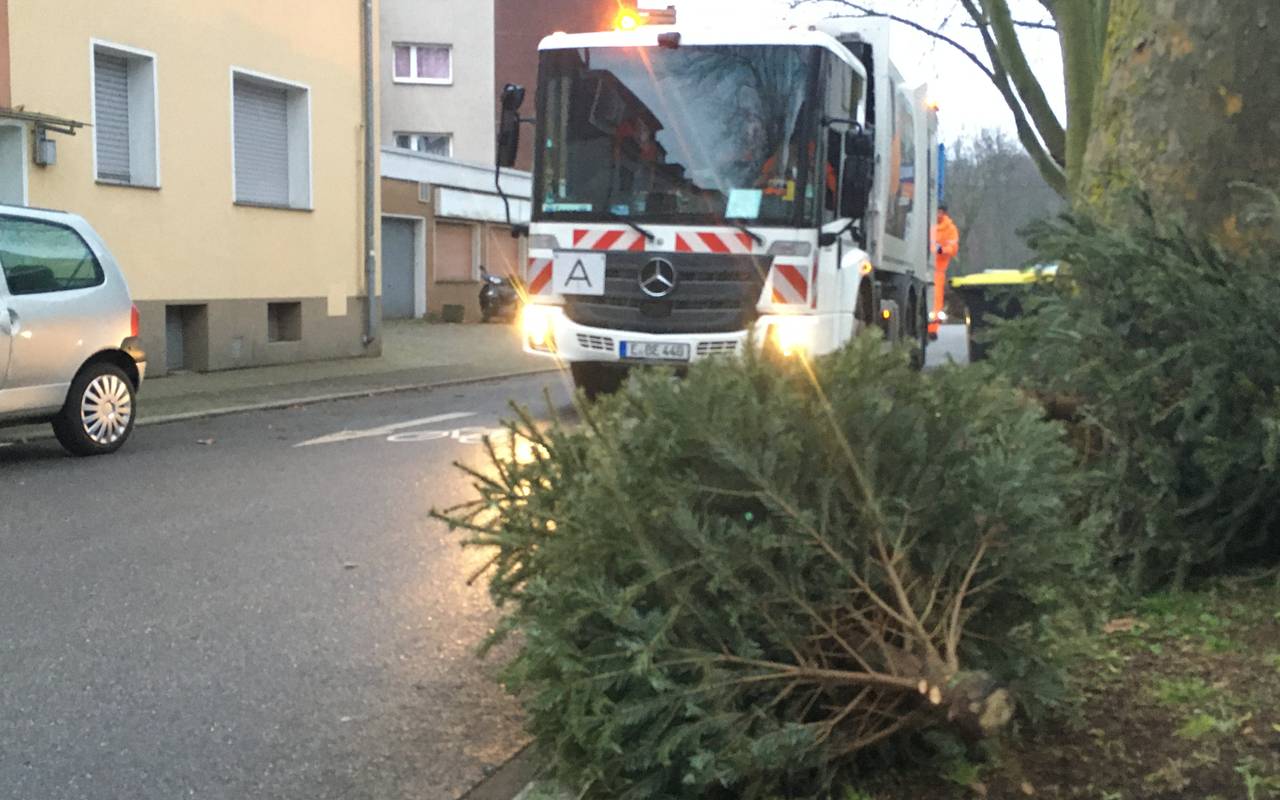 EBE entsorgungsbetriebe Radio Essen Weihnachtsbaum-Abholung