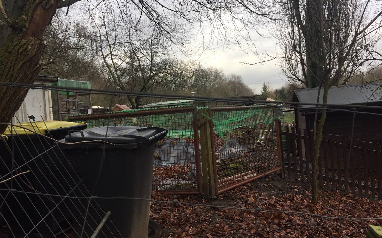 Das Wildgehege in Schonnebeck
