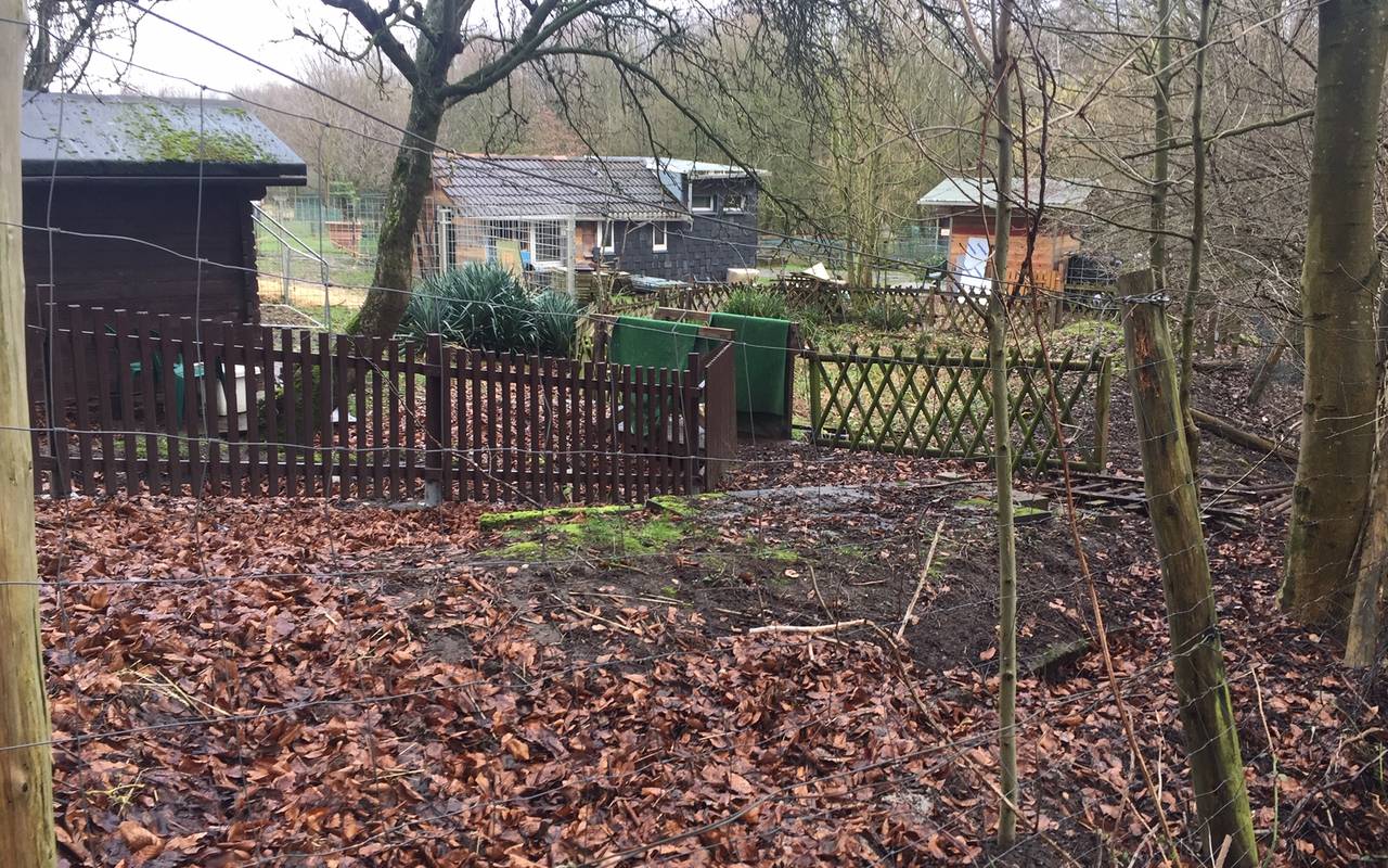 Das Wildgehege in Schonnebeck