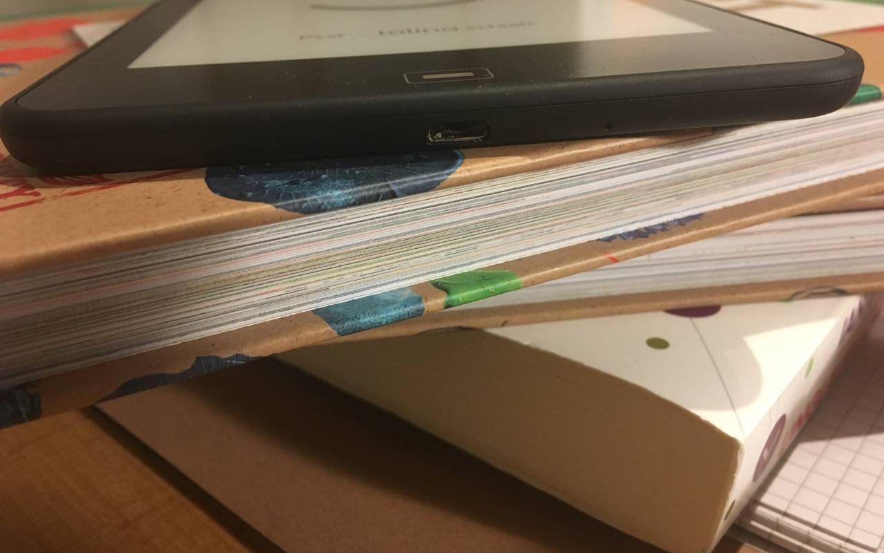 Die Stadtbibliothek bietet online Bücher an - vom Krimi, über den schrägen Science Fiction Roman bis hin zum Kinderbuch.