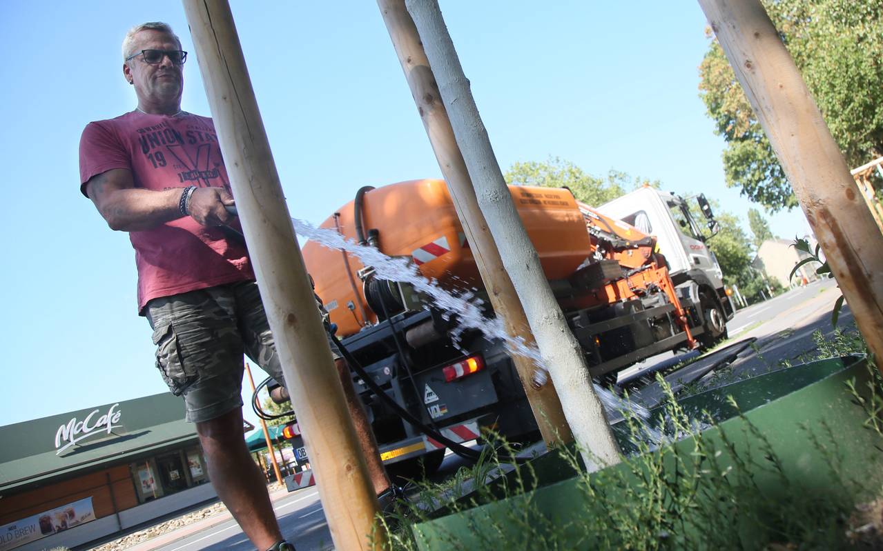 Wegen der anhaltenden Trockenheit werden Bäume in Essen gegossen-baum-wasser-giessen-trockenheit