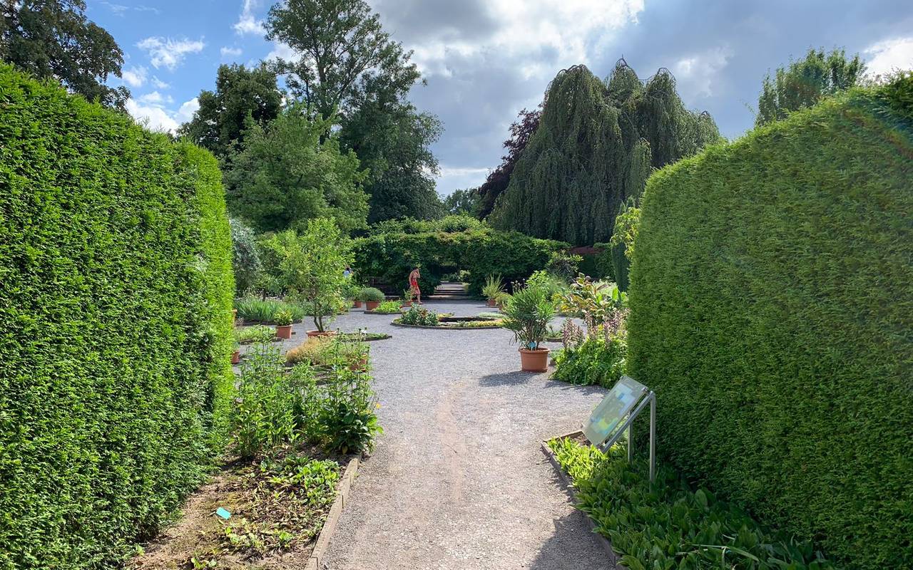 Essen: Sommer im Gruga Park