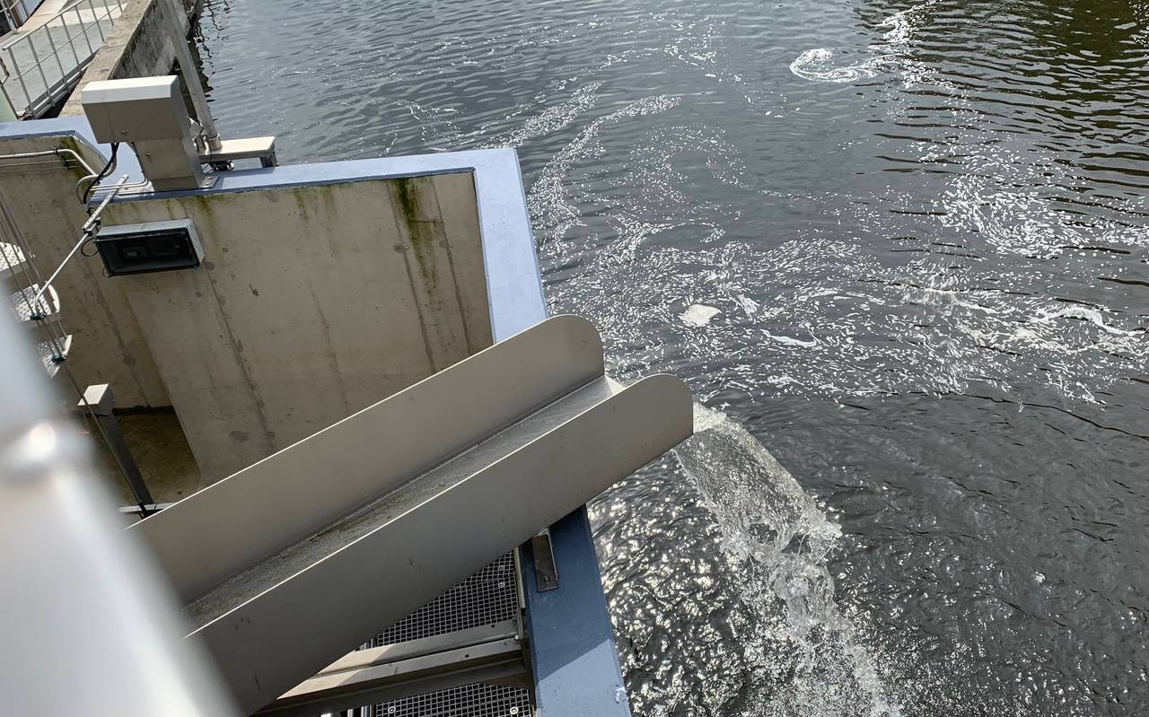 Fischlift Baldeneysee_Radio Essen