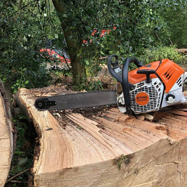 baum-faellen-radio-essen-kettwig