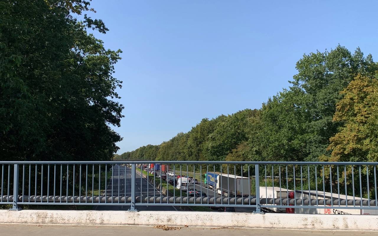 Der Stau auf der A40 Richtung Essen durch den brennenden LKW.