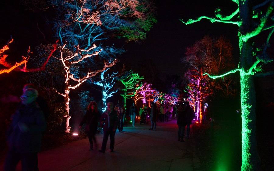 Das Parkleuchten im Grugapark muss wegen Corona erstmal abgesagt werden. Es sollte eigentlich Anfang Februar stattfinden.