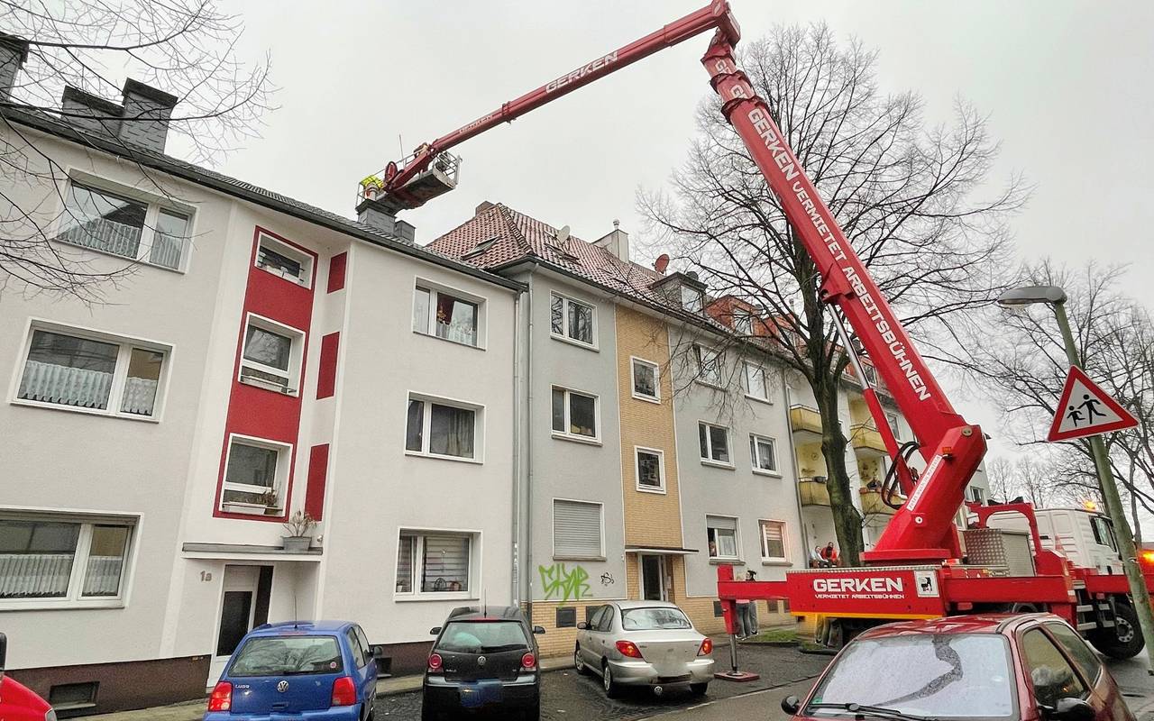 kater_katze-tierrettung-radio-essen