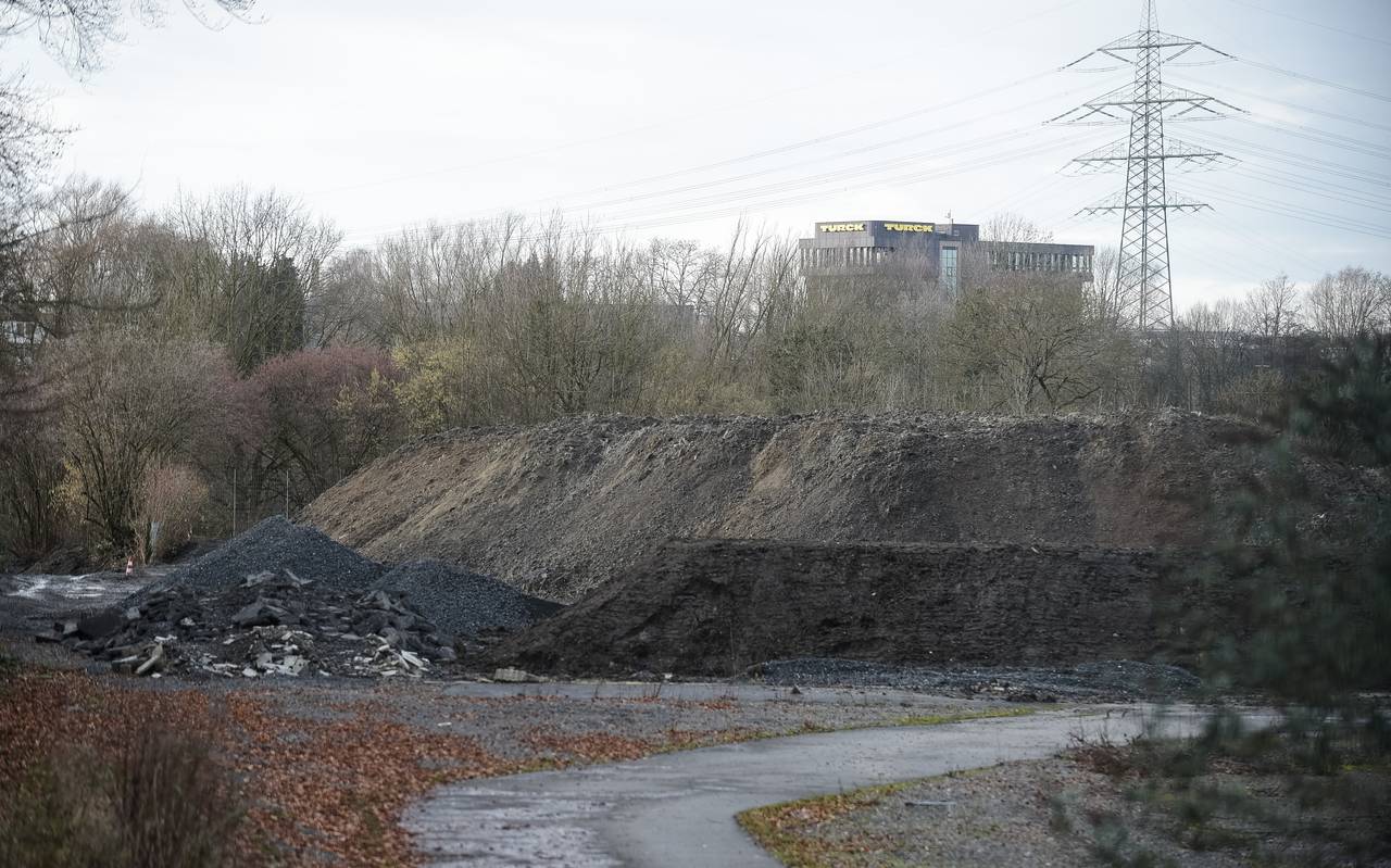 Alter Sportplatz an der Hamburger Straße in Essen-Frohnhausen wird zum Wald