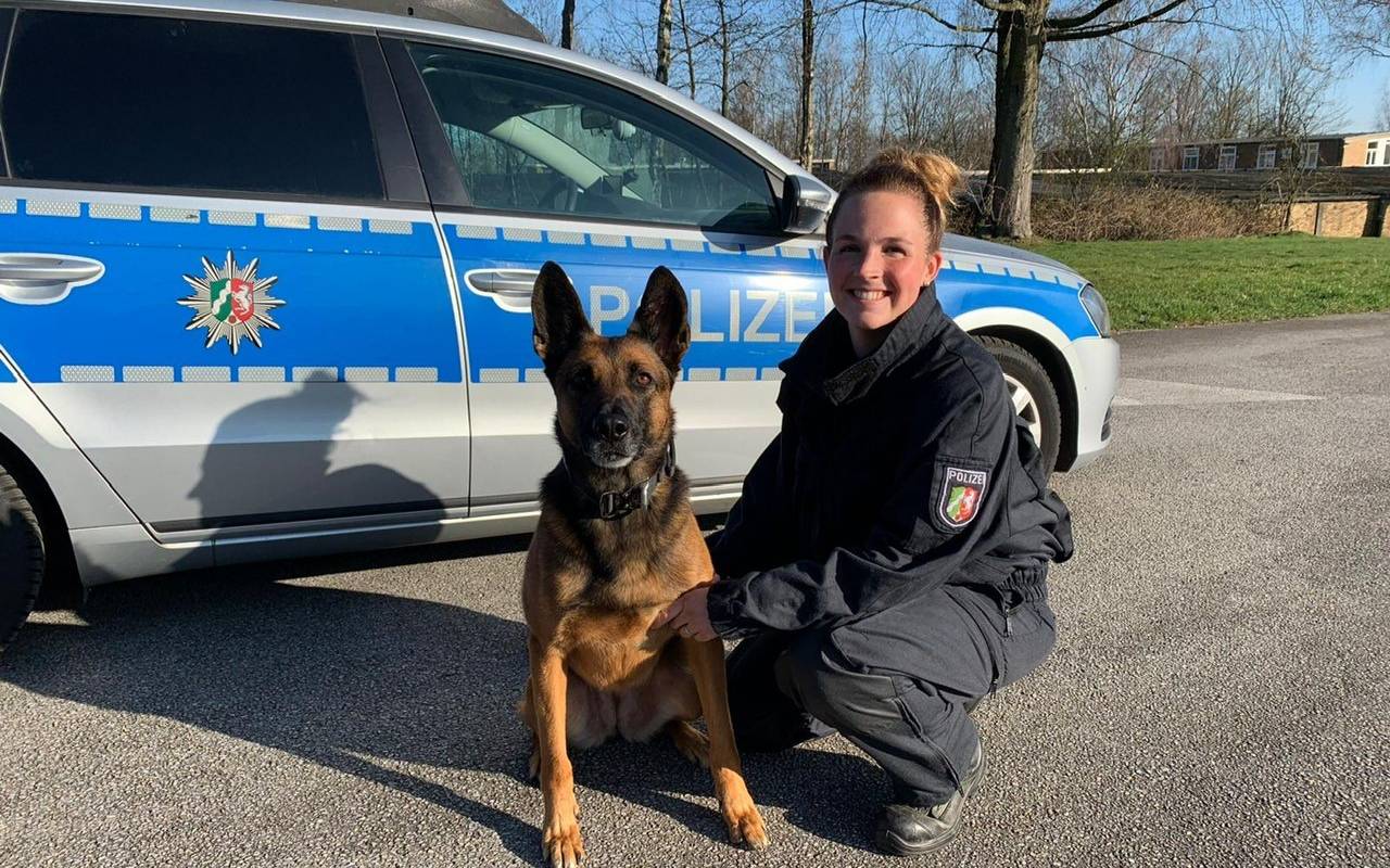 Die Polizei Essen hat einen neuen Datenspeicher-Spürhund, sie heißt Hilde.