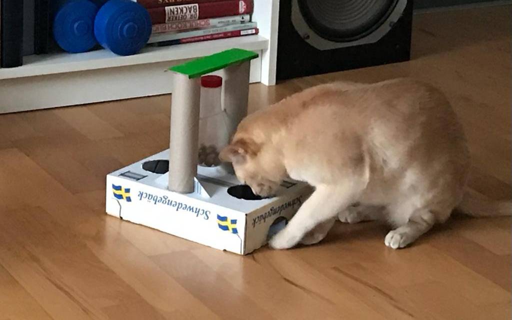 Katzenspielzeug Katze Karton Klopapierrrollen