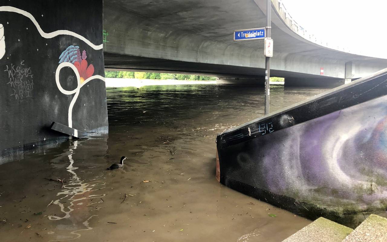 Die Brehminsel ist überflutet.