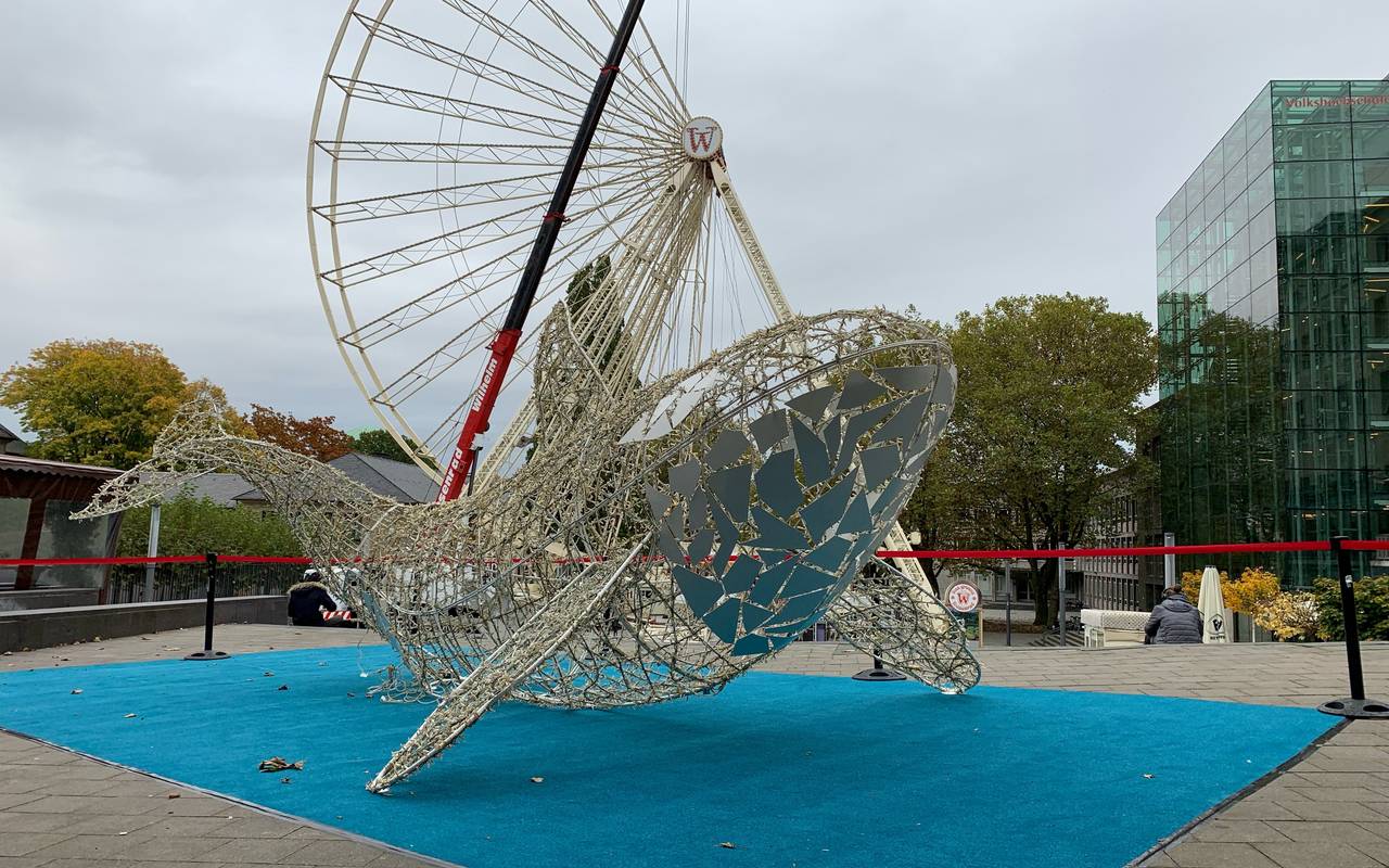 In Essen starten die Lichtwochen. Diesmal stehen überall Leucht-Tiere. Auf dem Burgplatz steht zum Beispiel ein Orca.