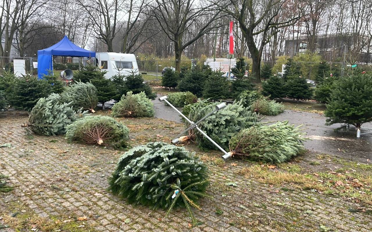 An einem Weihnachtsbaum-Verkauf in Essen wurden mehrere Tannenbäume gestohlen.