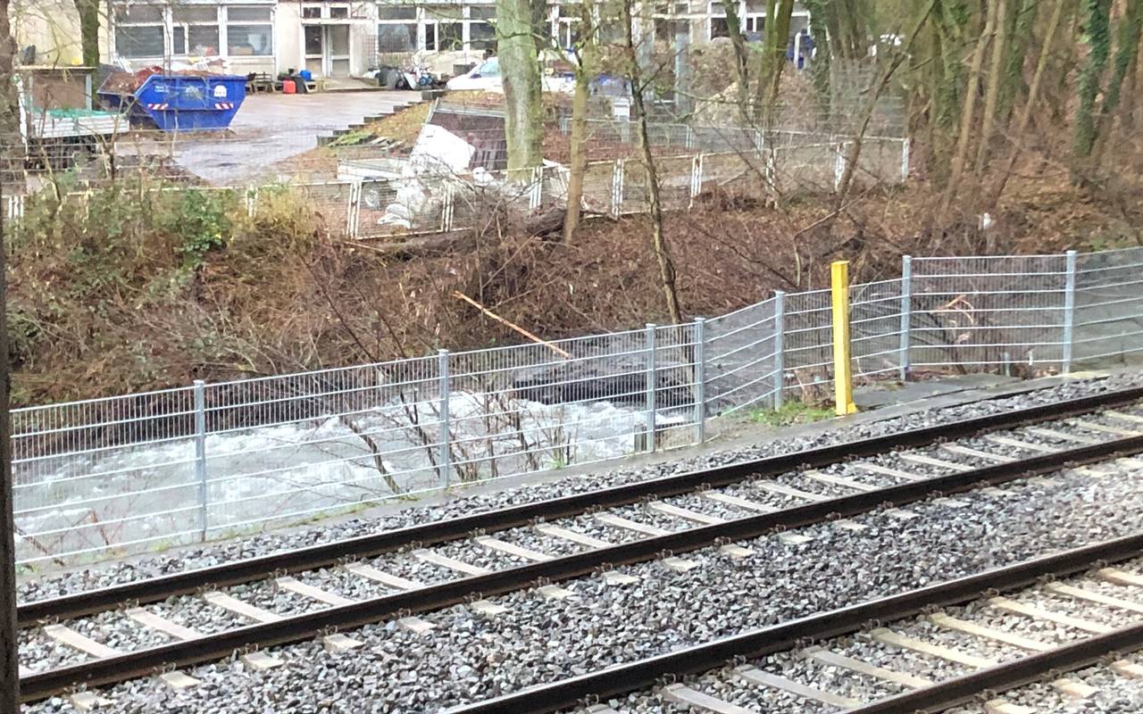 deilbach-baum-hochwasser-radio-essen