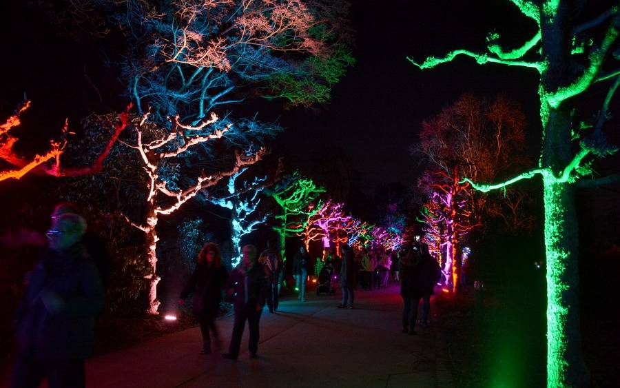 Das Parkleuchten im Grugapark in Essen ist auch dieses Jahr wieder zurück!