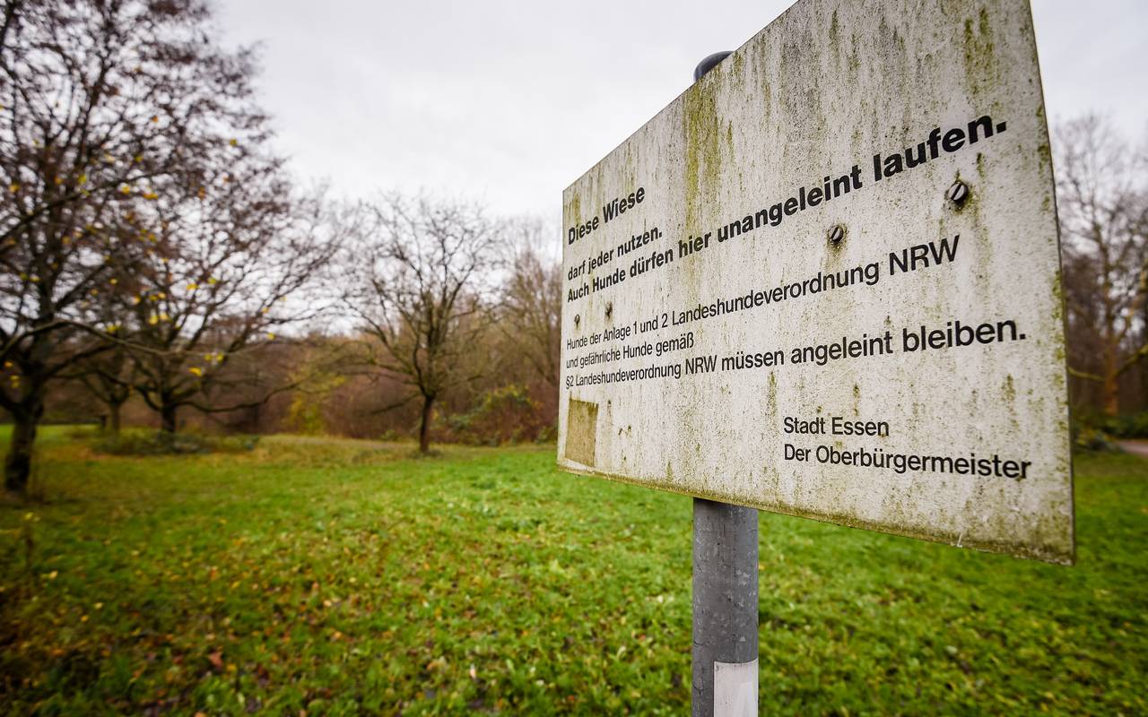 Hundewiese im Hallopark in Essen-Stoppenberg