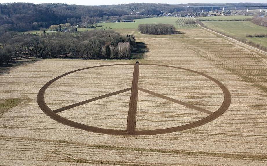 ruhrtaler-freilandschwein-frieden-kettwig-bauer-trecker-peace-ukraine-mais-feld-getreide-bauer-raido-essen