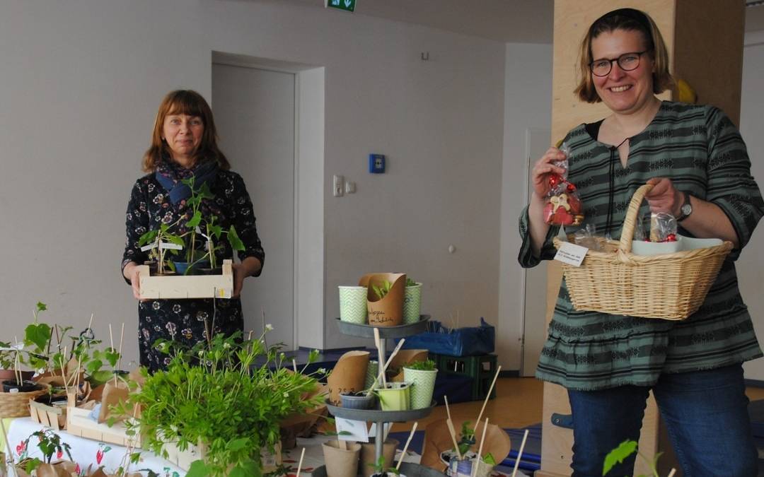 erlebnisgarten-team_pflanzenboerse-radio-essen-blumen