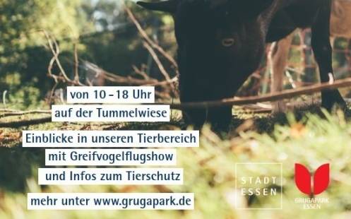 Der Grugapark Essen lädt zum ersten Tieraktionstag ein.