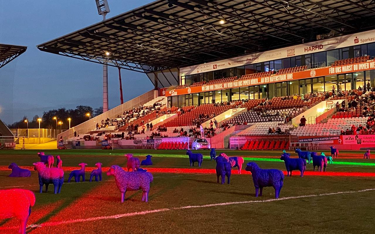 50 Friedensschafe der EU im Stadion Essen beim Weihnachtssingen