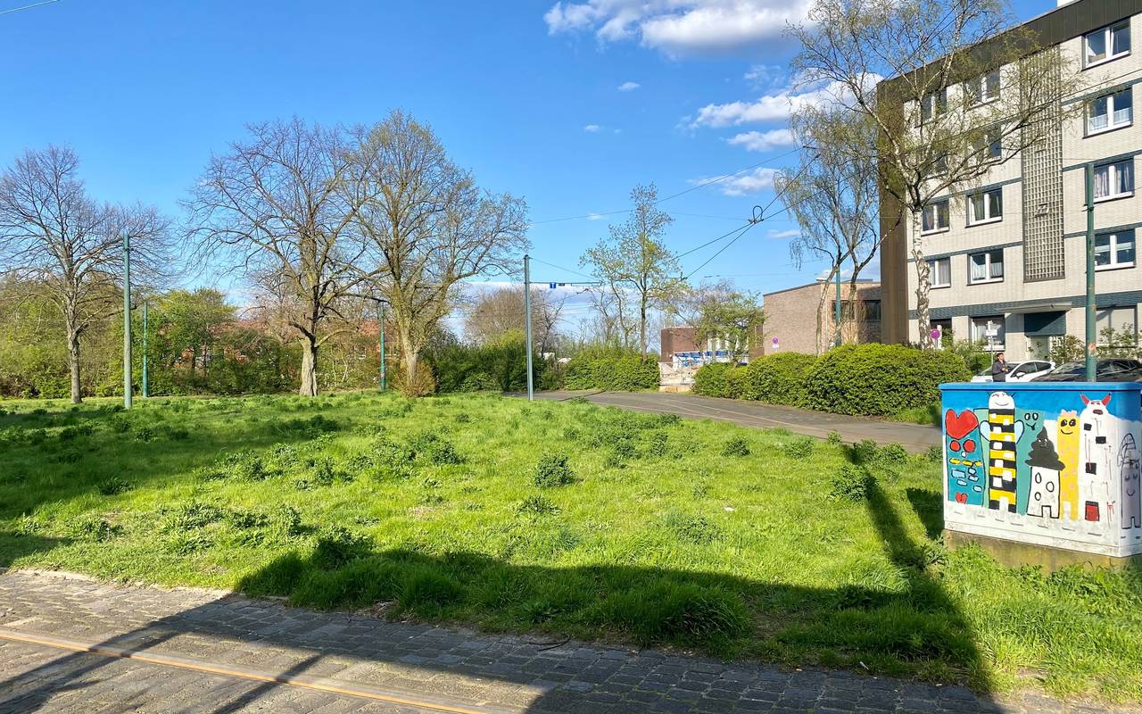 Wiese auf Gleisschleife Frintrop