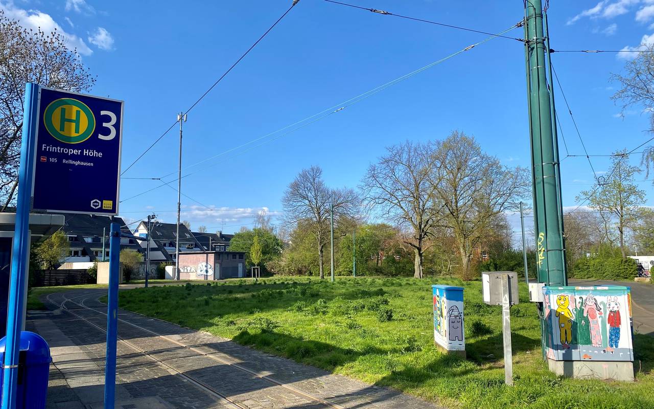 Wiese auf Gleisschleife Frintrop