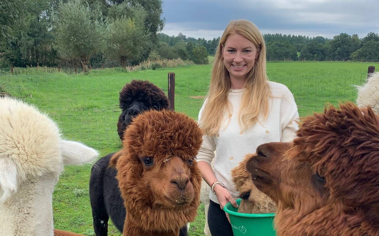 alpakamomente_alpakas_gut-gatzweiler_radio-essen-podcast-essen-im-ohr