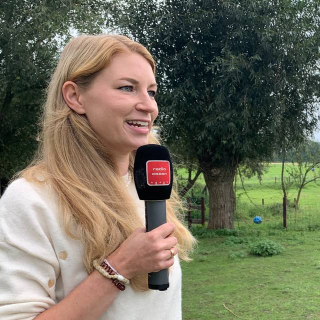 alpakamomente_alpakas_gut-gatzweiler_radio-essen-podcast-essen-im-ohr